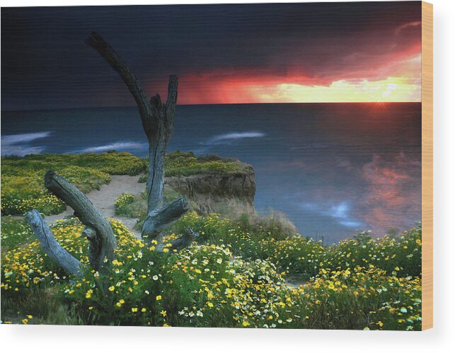 Landscape Wood Print featuring the photograph Stormy Sunset by Scott Cunningham