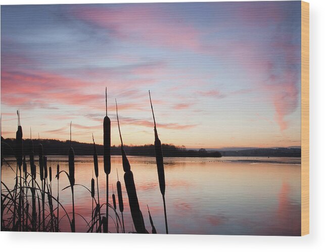 Scenics Wood Print featuring the photograph Strathclyde Park At Dawn by Billy Currie Photography