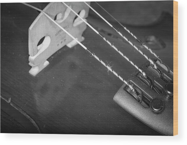 Music Wood Print featuring the photograph Strings Series 26 by David Morefield