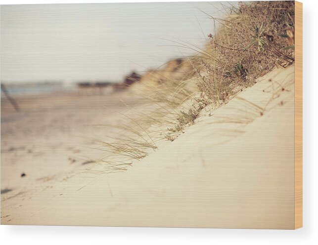 Scenics Wood Print featuring the photograph Succulent Plants In The Sand by Ppampicture