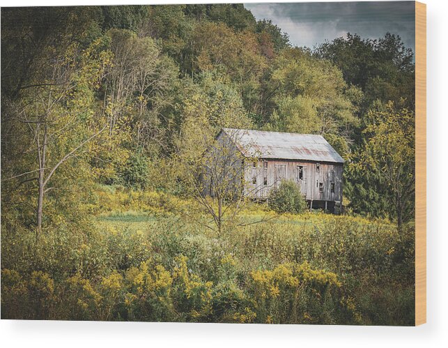 Summer Wood Print featuring the photograph Summer Barn by Michelle Wittensoldner