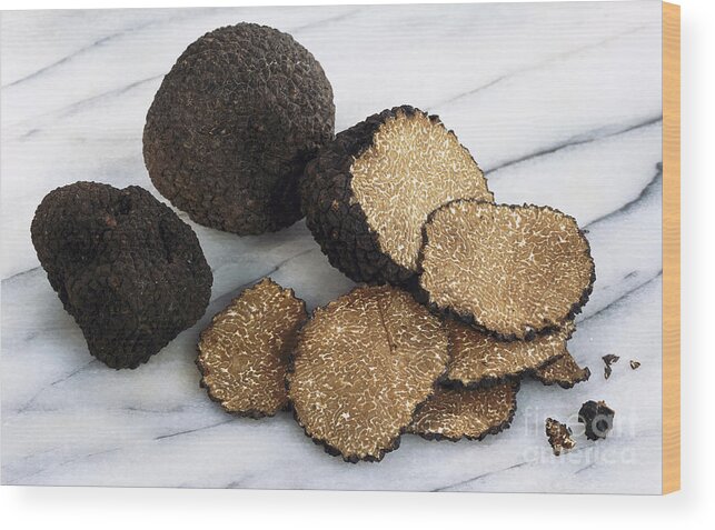 Summer Truffle Wood Print featuring the photograph Summer Truffle by Maximilian Stock Ltd/science Photo Library