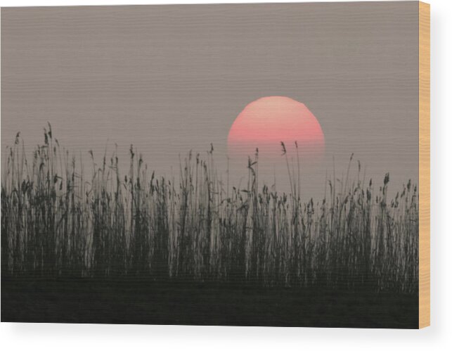 Flyladyphotographybywendycooper Wood Print featuring the photograph Sundown by Wendy Cooper