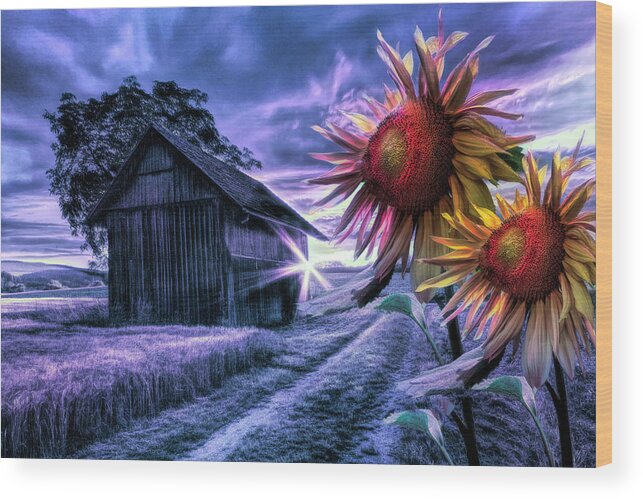 American Wood Print featuring the photograph Sunflower Watch in Night Shades by Debra and Dave Vanderlaan