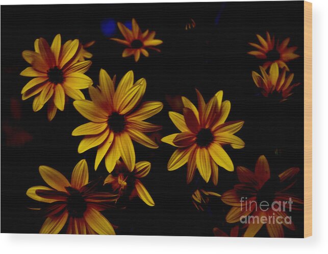Jerusalem Wood Print featuring the photograph Sunflowers in the Shadows by Debra Banks
