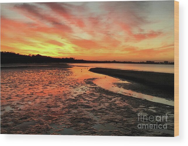 Sunset Wood Print featuring the photograph Sunrise at the Beach by Meg Rousher