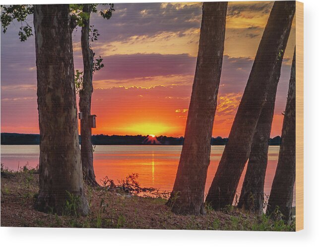 Grand Lake Wood Print featuring the photograph Sunrise from Monkey Island by David Wagenblatt