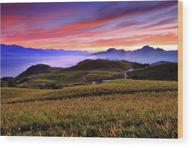 Scenics Wood Print featuring the photograph Sunrise Of Day Lilly Mountain by Thank You For Your Appreciation