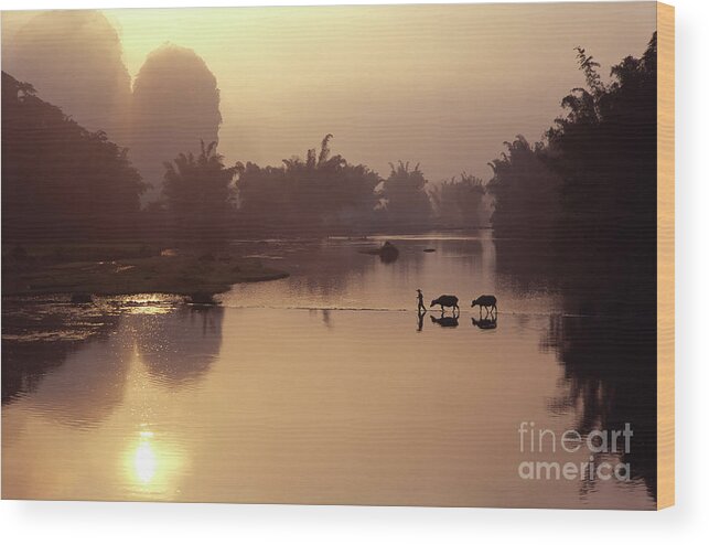 Yangshuo Wood Print featuring the photograph Sunrise Over Li River by Jameslee999