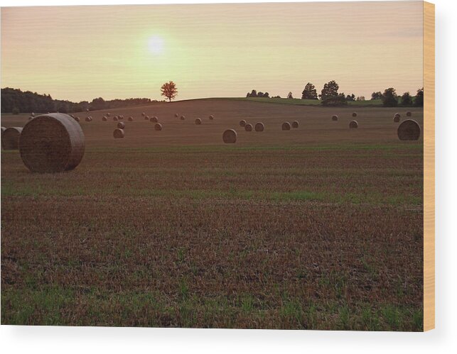 Hay Wood Print featuring the photograph Sunset And Hay Bales by Debbie Oppermann