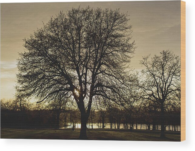 Sunset Wood Print featuring the photograph Sunset at Bell Cow Lake, Oklahoma by Julieta Belmont