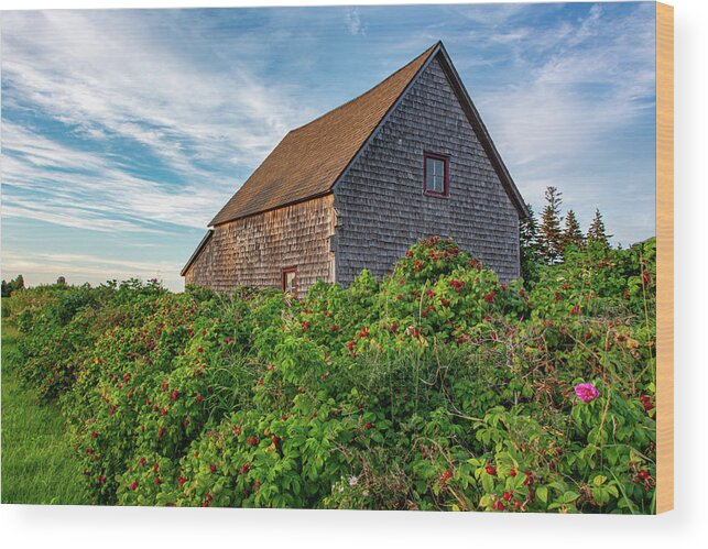 Seacow Head Wood Print featuring the photograph Sunset at Seacow Head Two by Douglas Wielfaert