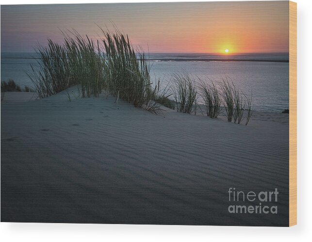 Natural Environment Wood Print featuring the photograph Sunset At The Dunes by Hannes Cmarits