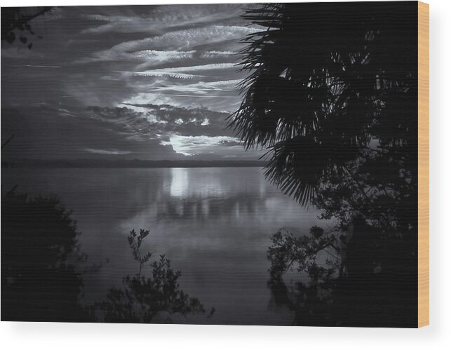 Barberville Roadside Yard Art And Produce Wood Print featuring the photograph Sunset In Black And White by Tom Singleton