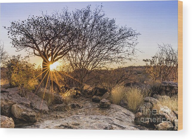 Sunset Wood Print featuring the photograph Sunset in the Erongo bush by Lyl Dil Creations