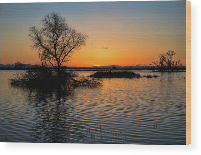 California Wood Print featuring the photograph Sunset in the Refuge by Cheryl Strahl