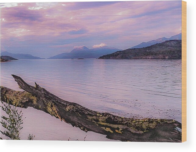 Skyline Wood Print featuring the photograph Sunset in Ushuaia by Silvia Marcoschamer