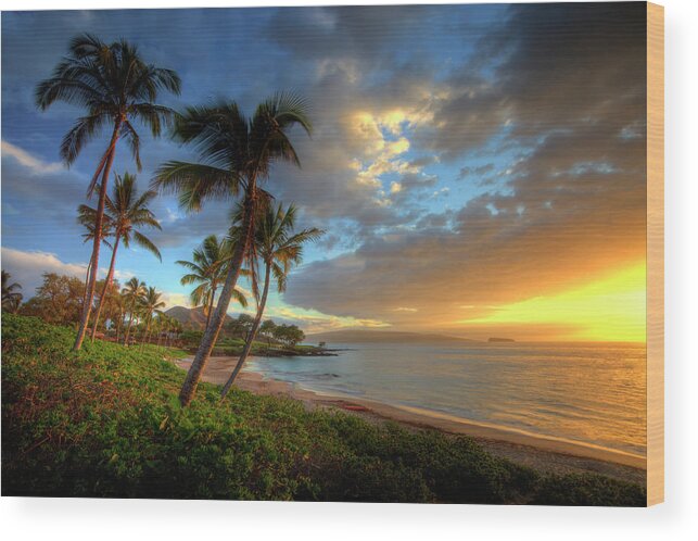 Scenics Wood Print featuring the photograph Sunset Near Makena With Tropical Palm by Darrell Gulin