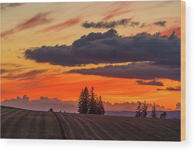 Willamette Valley Wood Print featuring the photograph Sunset over the fields by Ulrich Burkhalter
