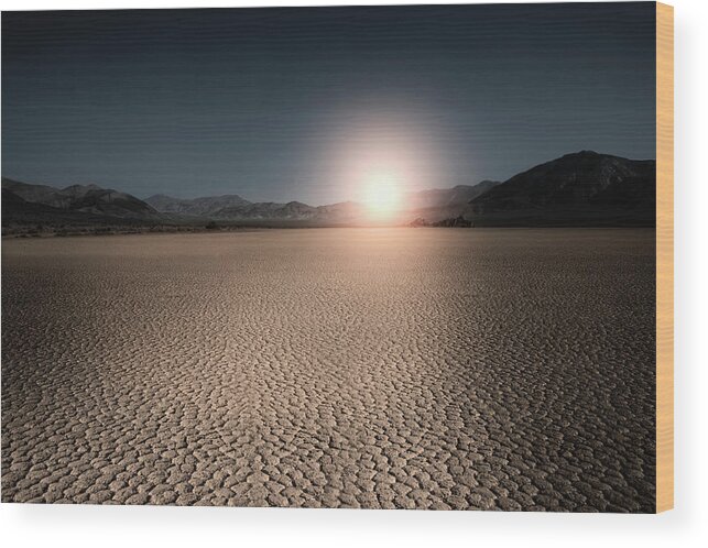 Tranquility Wood Print featuring the photograph Sunshine In A Desert by Buena Vista Images