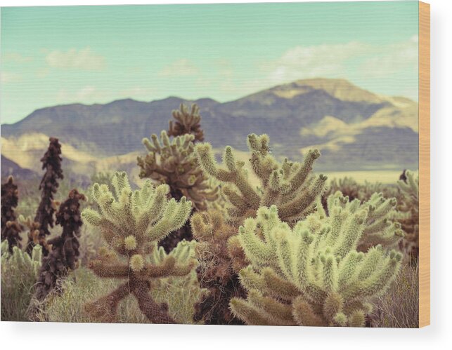 California Desert Wood Print featuring the photograph Super Bloom Cactus 7380 by Amyn Nasser