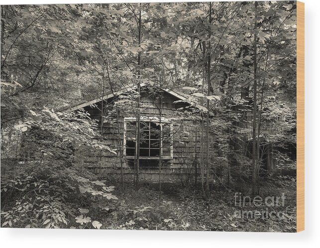 Abandoned Home Wood Print featuring the photograph Surrender by Mike Eingle