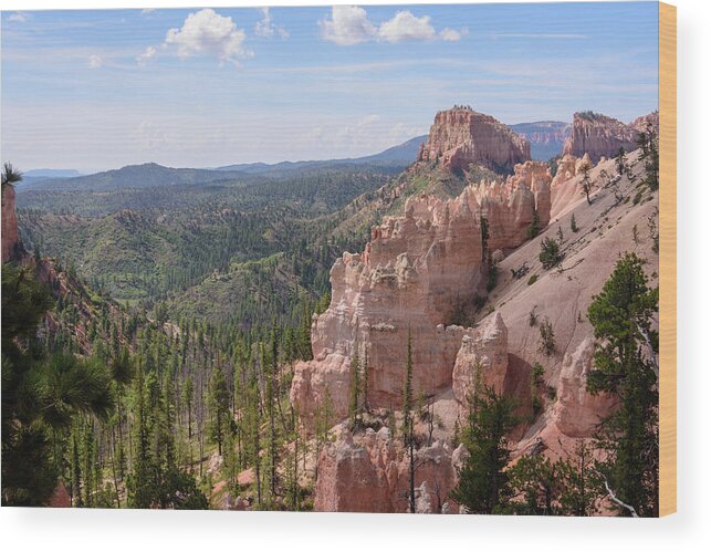 Swamp Canyon Wood Print featuring the photograph Swamp Canyon - Bryce Canyon - Utah by Debra Martz