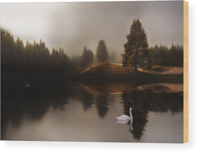 Swan Wood Print featuring the photograph Swan Lake by Michael