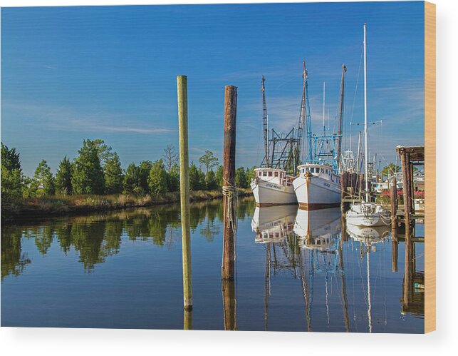 Swan Quarter Wood Print featuring the photograph Swan Quarter 2010-10 01 by Jim Dollar