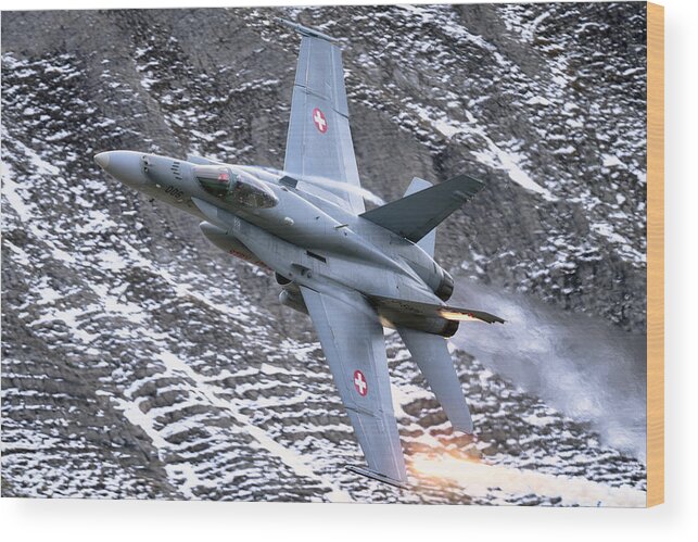 Hornet Wood Print featuring the photograph Swiss Hornet by Piotr Wrobel