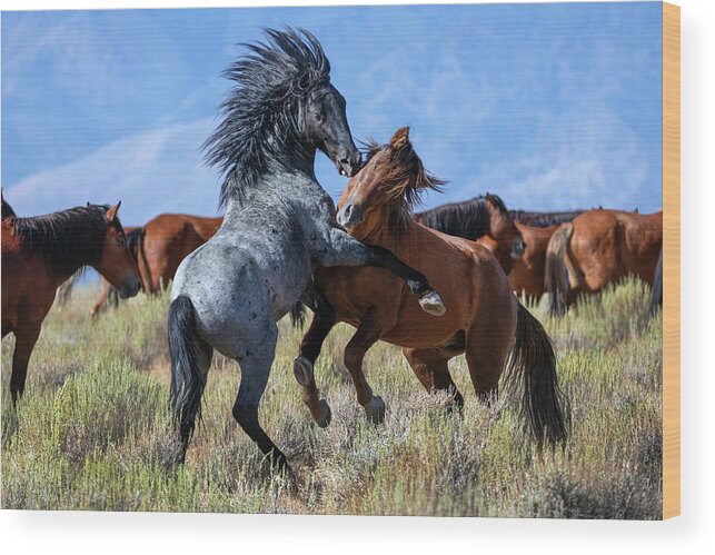 Horses Wood Print featuring the photograph _t__7224 by John T Humphrey