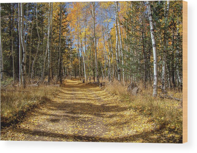 Arizona Wood Print featuring the photograph Take Me Home Country Road 3 by TL Wilson Photography by Teresa Wilson