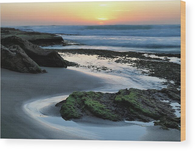 Tamarama Beach Wood Print featuring the photograph Tamarama Sunrise by Nicholas Blackwell