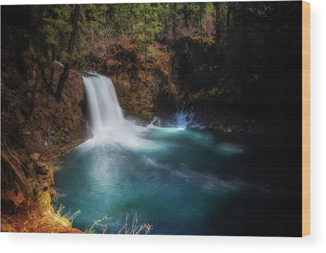 River Wood Print featuring the photograph Tamolitch Falls by Cat Connor