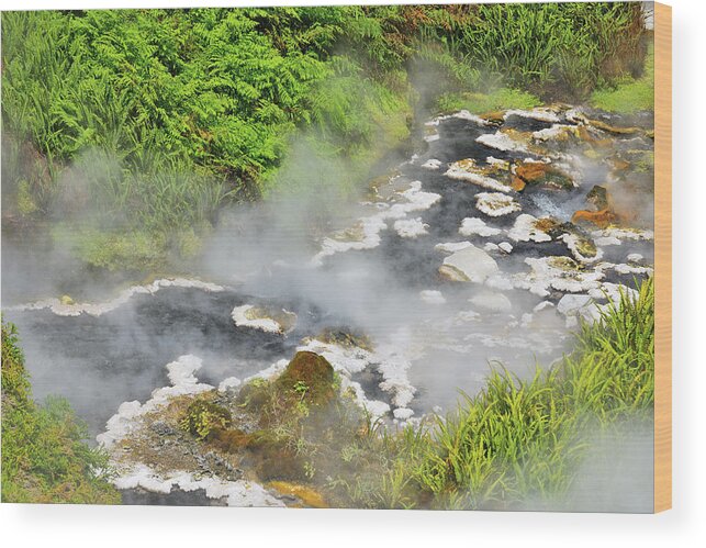 Tranquility Wood Print featuring the photograph Te Manaroa Spring by Raimund Linke