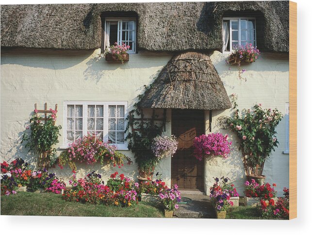 Dorset Wood Print featuring the photograph Thatched Cottage, West Lulworth by Holger Leue