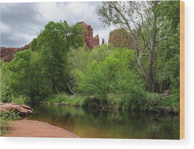 Red Rock State Park Wood Print featuring the photograph The Banks of Oak Creek by Douglas Wielfaert