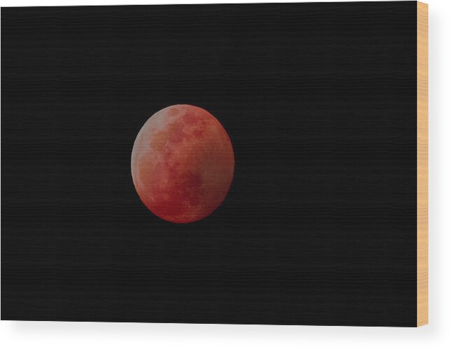 Blood Moon Wood Print featuring the photograph The Blood Wolf Moon by Don Hoekwater Photography