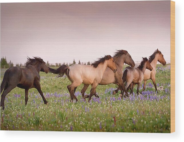 Beautiful Photos Wood Print featuring the photograph The Chase 1 by Roger Snyder