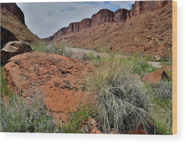 Moab Wood Print featuring the photograph The Colorado River near Moab Utah by Ray Mathis