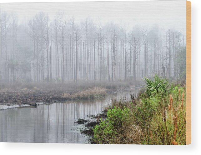 Fog Wood Print featuring the photograph The Coming Fog by Scott Hansen