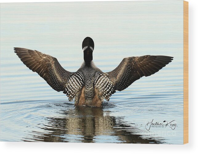 Loon Wood Print featuring the photograph The conductor by Heather King