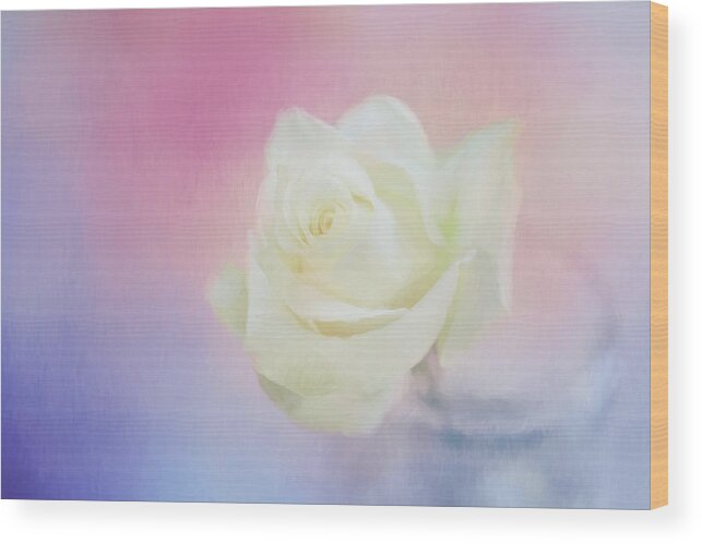 Rose Wood Print featuring the photograph The Enchanted by Kim Hojnacki