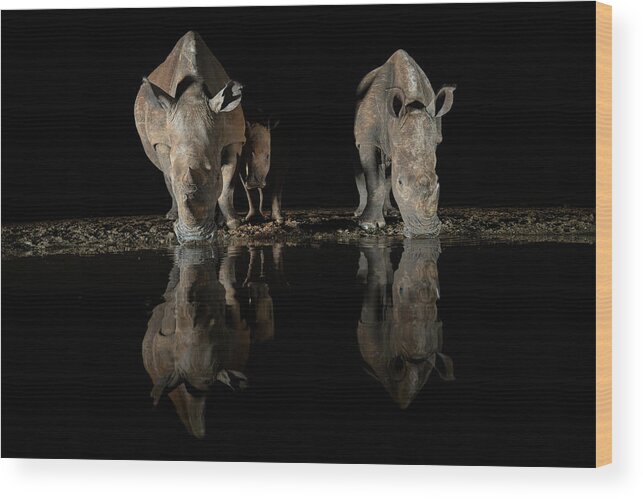 Safari Wood Print featuring the photograph The Family by Massimo Felici