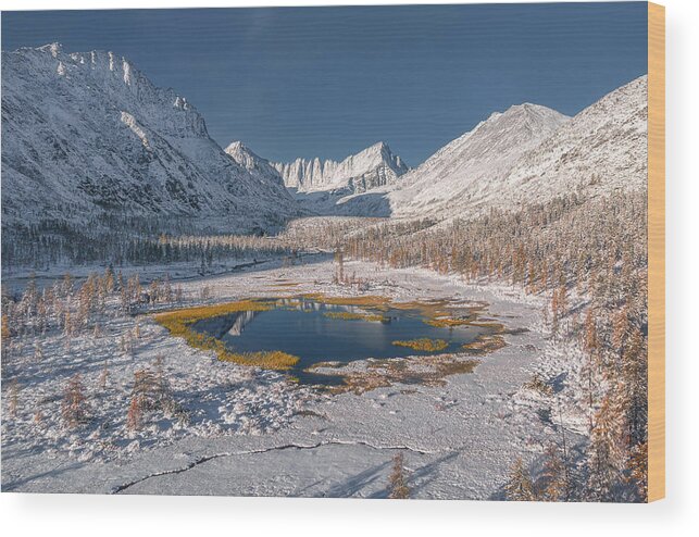 Mountains Wood Print featuring the photograph The First Snow On Jack London Lake. by Valeriy Shcherbina