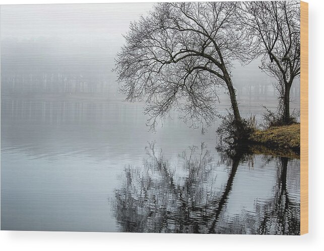 Fog Wood Print featuring the digital art The Foggy Lake by Ed Stines