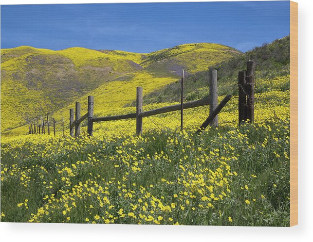 California Wood Print featuring the photograph The Hills Are Alive by Cheryl Strahl