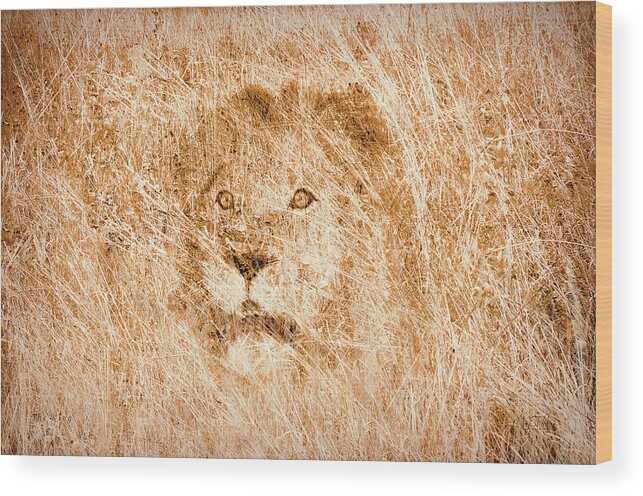 Lion Wood Print featuring the digital art The King by Mark Allen
