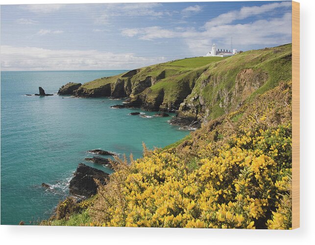 Viewpoint Wood Print featuring the photograph The Lizard Lighthouse From Housel Bay by David Clapp