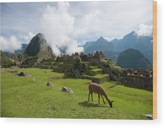 Machu Picchu Wood Print featuring the photograph The Lost Inca City Of Machu Picchu by Elmvilla